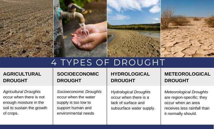 formulating a hypothesis of drought